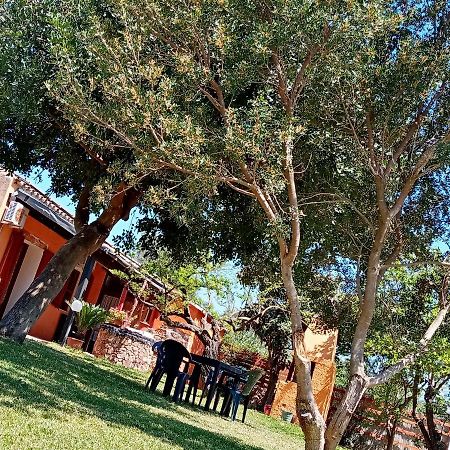 Is Cuccus Bed & Breakfast Masainas Dış mekan fotoğraf