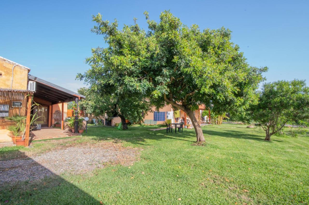 Is Cuccus Bed & Breakfast Masainas Dış mekan fotoğraf