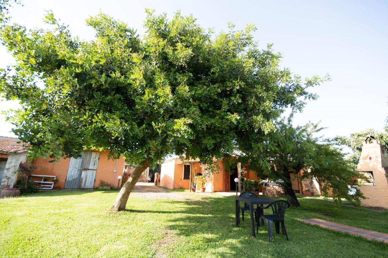 Is Cuccus Bed & Breakfast Masainas Dış mekan fotoğraf