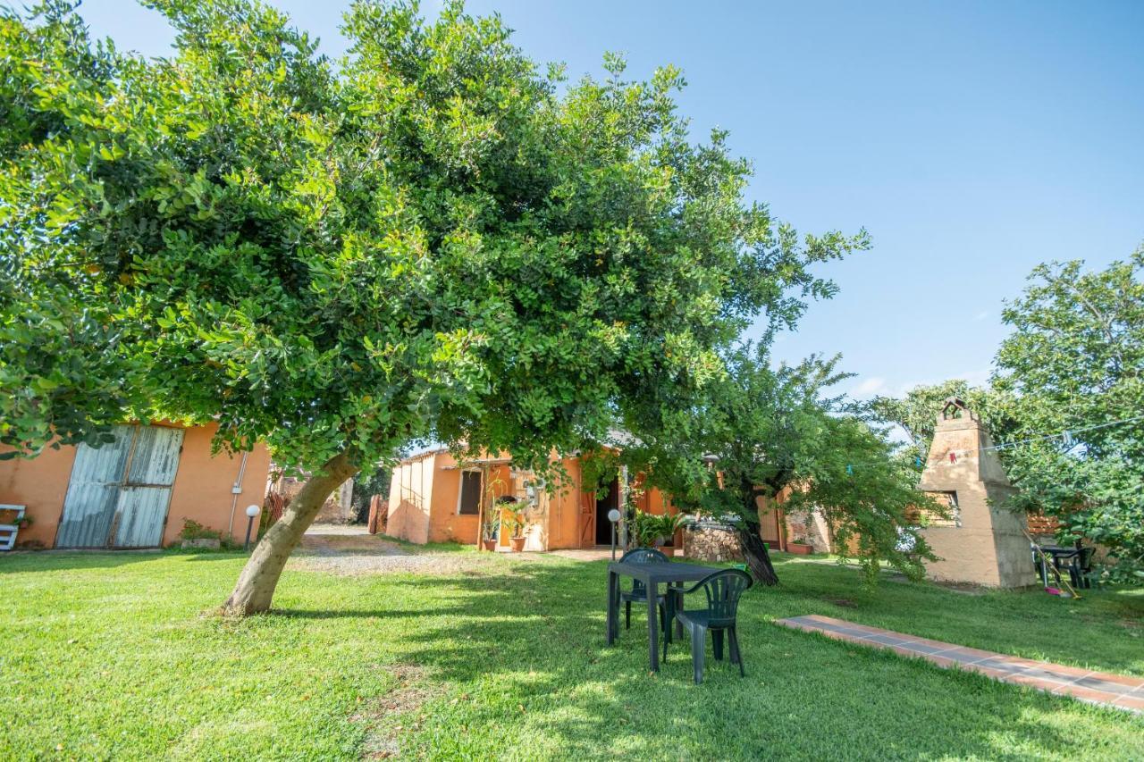 Is Cuccus Bed & Breakfast Masainas Dış mekan fotoğraf